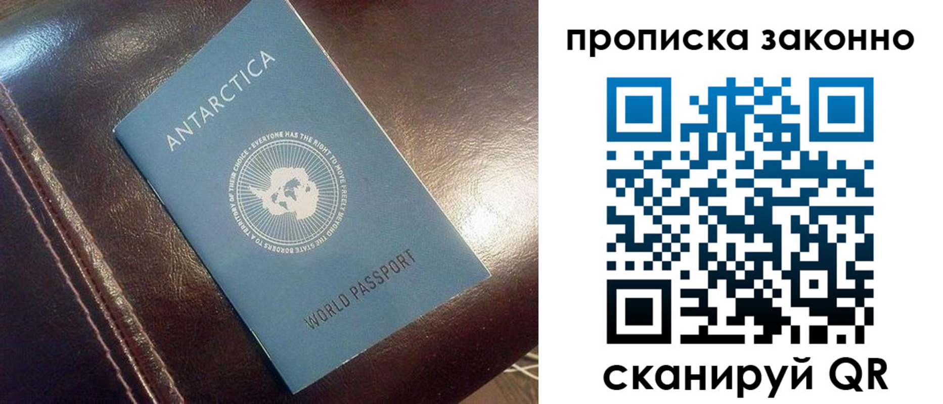 прописка в квартире в Фрязино